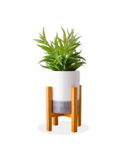 Plant Stand